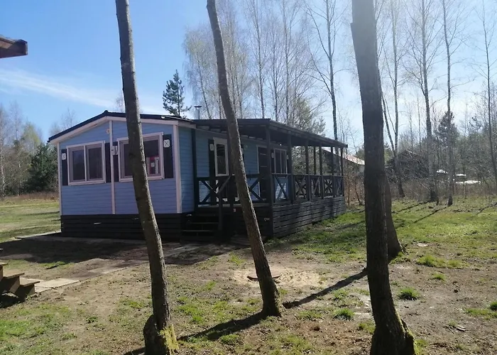 Letniskowy - Niebieski Całoroczny