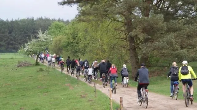 Letniskowy - Niebieski Całoroczny Rzeczenica